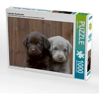 Calvendo Labrador Geschwister (Puzzle)