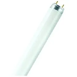 Leuchtstofflampe-XXT 36W/865, G13,