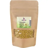 Creartec Colouraplast Bastelperlen Gold 100g