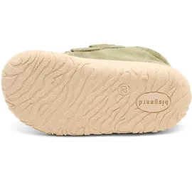 Bisgaard barefoot hale sage 26