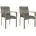 vidaXL Gartenstuhl 57 5 94 88 cm grau 2 St