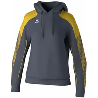 Erima Evo Star Kapuzenpullover Slate Grey / Yellow 34