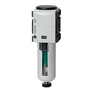 Riegler Mikrofilter »FUTURA«, PC-Behälter, Schutzkorb, BG 1, G 1/4, HA