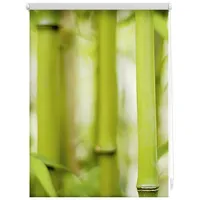 Lichtblick Seitenzugrollo Klemmfix Motiv Bambus 80 x 150 cm grün/weiß