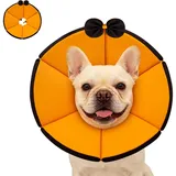 GGW Weiche Halskrause Hund verstellbar atmungsaktiv (Orange, XS)