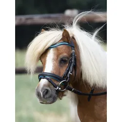 Busse Trense LITTLE