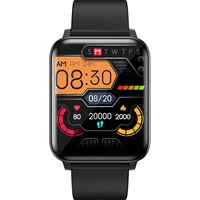 Lenovo E1 Max schwarz