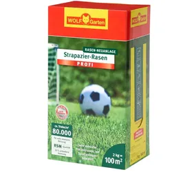 WOLF-Garten LJ 100 STRAPAZIER-RASEN ''PROFI''