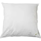 BettwarenShop Daunenkissen Exclusiv 80 x 80 cm Weiß