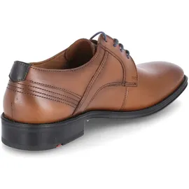LLOYD Gala | Braun - 46,5
