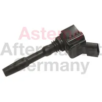 Hitachi Zündspule 2504052