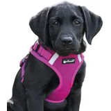 Petlando Mesh Vest Hundegeschirr Fuchsia M