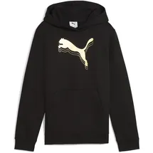 Puma Hoodie Black-metallic Gold 128