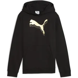 Puma Hoodie Black-metallic Gold 128