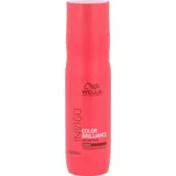 Wella Invigo Color Brilliance Shampoo (Coarse Hair) 250 ml