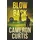 Inkubator Books Blowback (Breed Thrillers, Band 10)