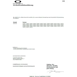 OAKLEY Flight Deck L Prizm Skibrille (Größe One Size,