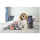 Bunny Puppy Tierball Crunchy Chew