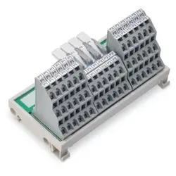 Wago 830-800/000-318 Potentialverteilermodul, 2 Potentiale, mit je 2 Einspeiseklemmstellen, grau 830800000318