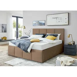 Halmon Schlafkomfort Betten Dalas Sahara 160 x 200 cm H2 Beige