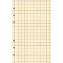 EXACOMPTA Nachfüllung Exatime 21, karierter Block (5 x 5)