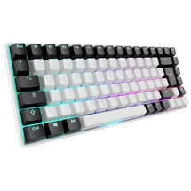 Sharkoon SGK50 S3 Gateron Yellow FR