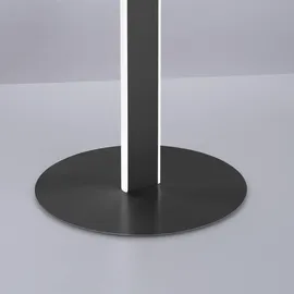 Q-SMART-HOME Paul Neuhaus Q-VITO LED-Stehleuchte, anthrazit