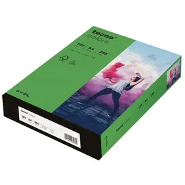 Inapa tecno colors A4, 250 Blatt, Coloured Paper