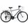 Hollandia City Next 28 Zoll RH 56 cm Herren blau