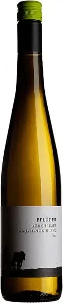 Sauvignon Blanc vom Quarzit Weingut Pflüger 2025 BIO