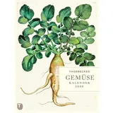 Thorbecke Jan Verlag Thorbeckes Gemüse-Kalender 2026