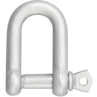 Kleinsorge GmbH & Co. KG Schäkel gerade Form 12 mm Trgf. 500 kg 25 Stück
