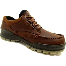 ECCO Track 25 M Outdoor Shoe, Bison, 43