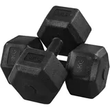 Yaheetech Hanteln Set 2er Kurzhanteln für Krafttraining oder zu Hause Hantelset 2 stück Hanteln Dumbbell Set Fitness 2er Set 2x8 kg