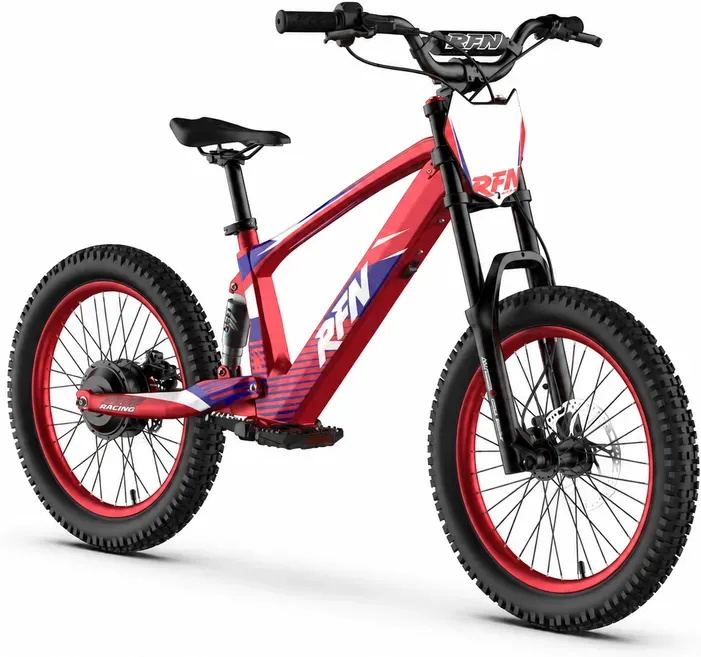 20 Zoll Motorrad, 750 W 270 Wh Motorrad für Outdoor-Fahrspaß für Jungen & Mädchen, 35 km/h Geländemotorrad, Geschenk für Kinder