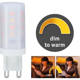 Paulmann LED Lampe 28819 4W G9 warmweiß 1 St.