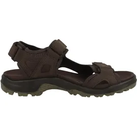 ECCO Offroad Herren braun 45