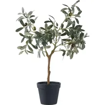 House Nordic House Nordic, Kunstpflanzen, Olive (61 cm)