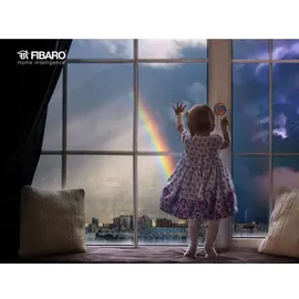 FIBARO RGBW Controller 2