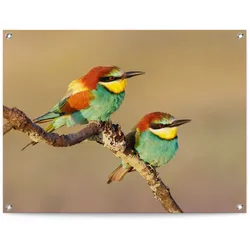 Poster REINDERS "Der Bienenfresser", bunt (farbe bild(er): bunt), B:80cm H:60cm T:0,1cm, Leinwand, Bilder, Outdoor für Garten oder Balkon