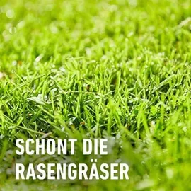 Compo Rasenunkraut-Vernichter Perfekt Konzentrat 200 ml