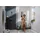 Hansgrohe Unica Pulsify S 669mm, mit Push Handbrausehalter, chrom