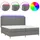 vidaXL Boxspringbett mit Matratze & LED Dunkelgrau 200x200 cm Stoff