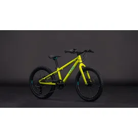 Cube Acid 200 Disc 20 Zoll lizard'n'blue