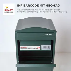 Homescapes Smart Parcel Box grün