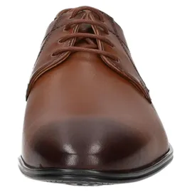 LLOYD CORE 111 braun 7