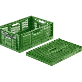 Westfalia Klappbox 60x40x23cm durchbrochen grün