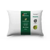 HANSKRUCHEN Premium de Luxe Daunenkissen 50 x 70 cm Weiß