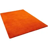 Snapstyle Hochflor Shaggy Teppich Orange 80x160cm