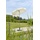 Schneider Schirme Locarno Ø 150 cm natur